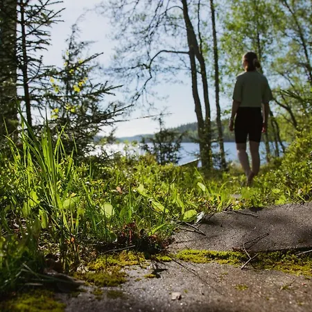Loma-autio Aamurusko * Puumala