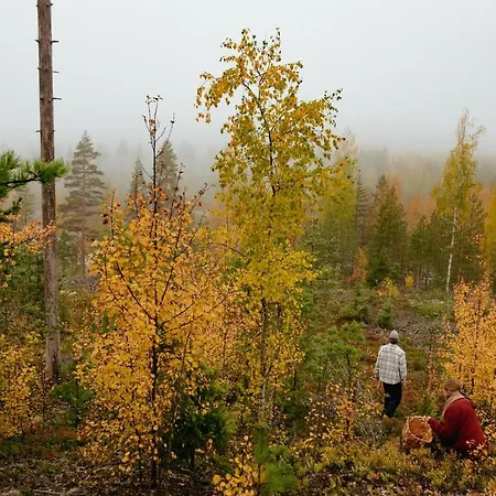 Loma-autio Aamurusko 普马拉