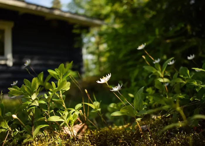 Dağ evi Loma-autio Aamurusko Puumala