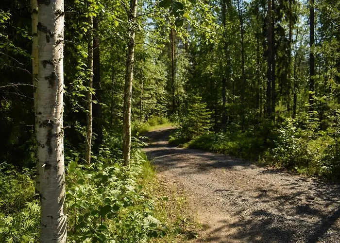 Loma-autio Aamurusko