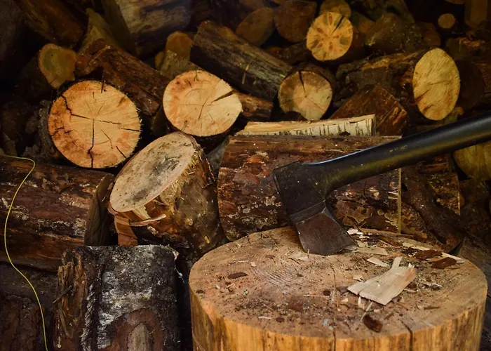 Loma-autio Aamurusko Dağ evi *