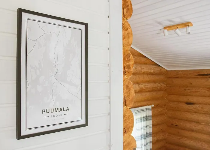 Loma-autio Aamurusko Puumala