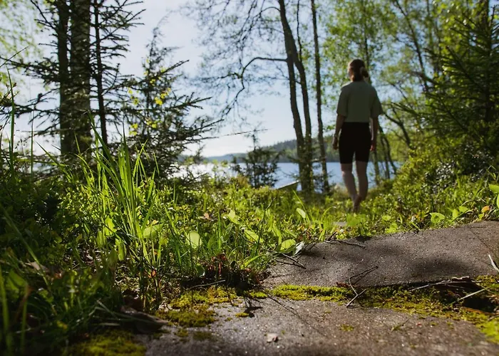 Loma-autio Aamurusko * プーマラ