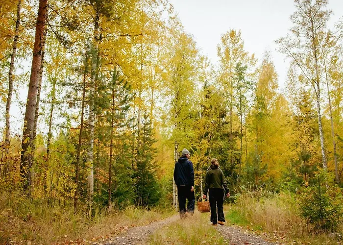 Loma-autio Aamurusko Puumala